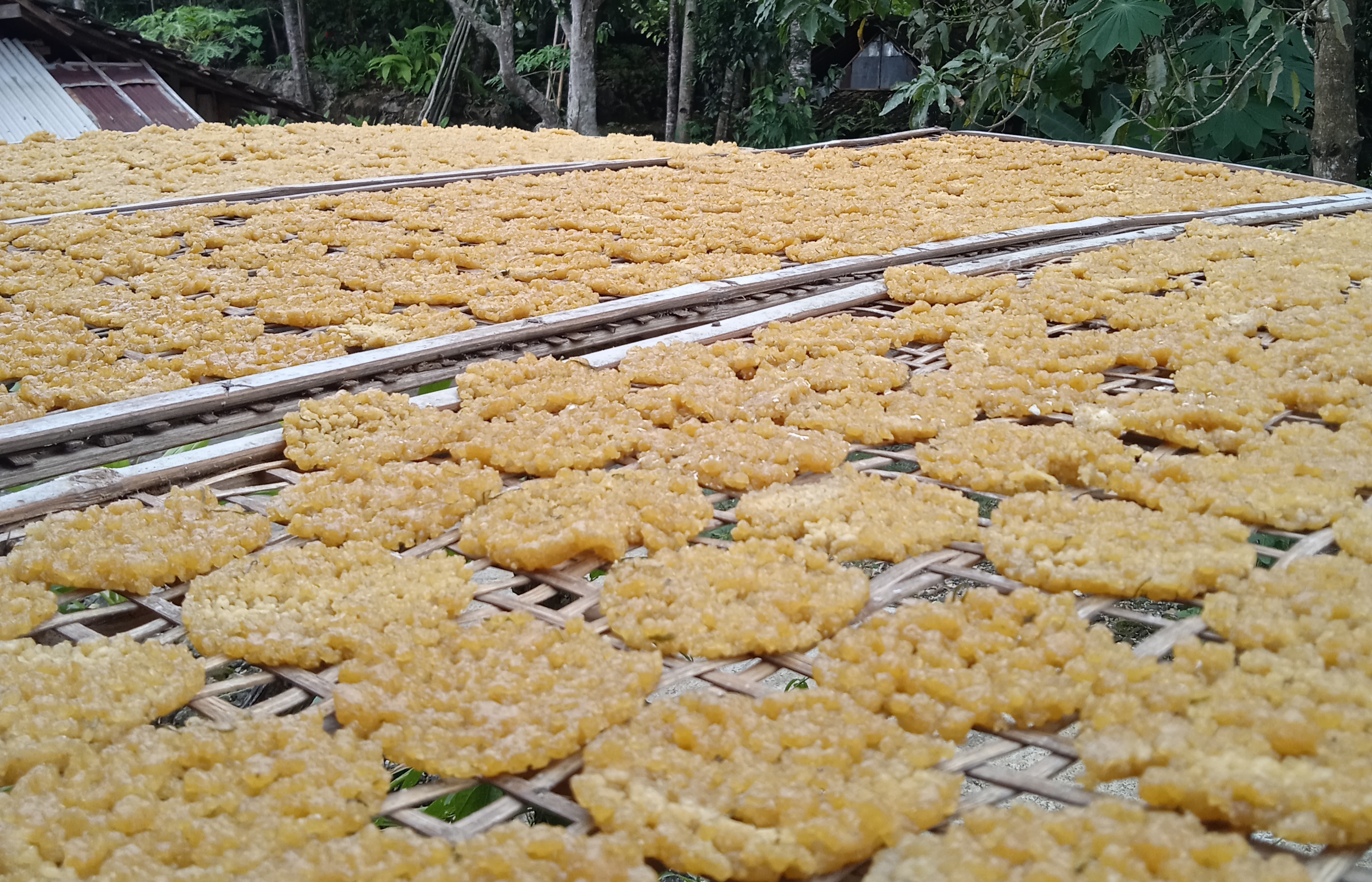 rengginang-thiwul
